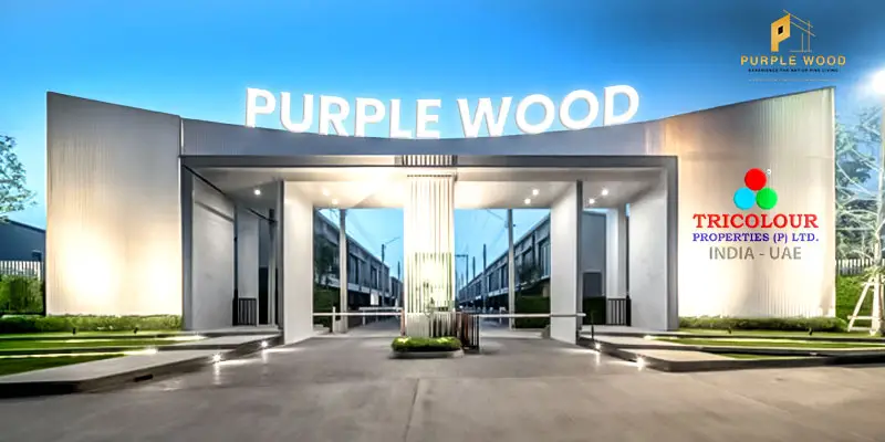 purple