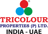 logo img